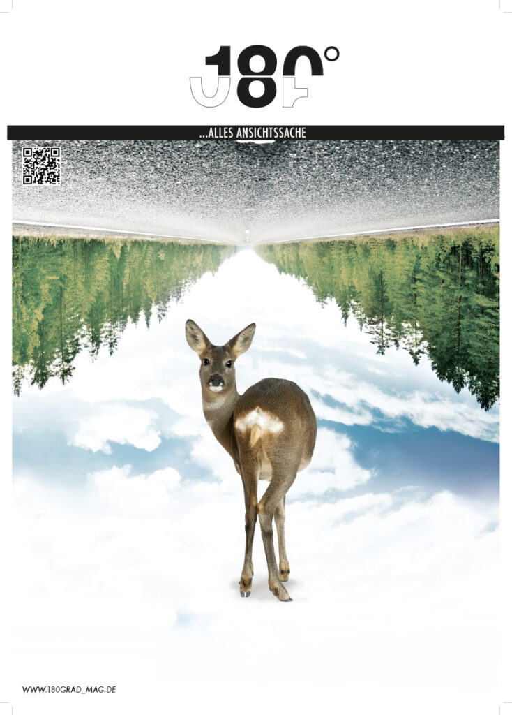 Arbeitsprobe von Susanne Hiepler – MA Graphic & Communication Design am RSIAD